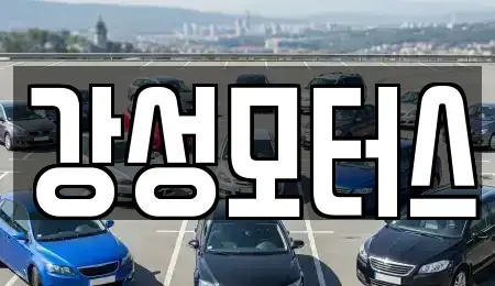 경기도 성남시 분당구 야탑동 중고차매매 전문 강성모터스