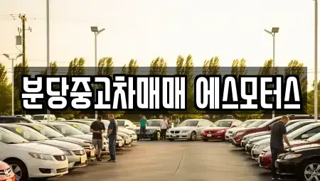 경기도 성남시 분당구 야탑동 중고차매매 전문 분당중고차매매 에스모터스
