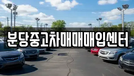 경기도 성남시 분당구 야탑동 중고차매매 전문 분당중고차매매매입센터
