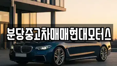 경기도 성남시 분당구 야탑동 중고차매매 전문 분당중고차매매현대모터스