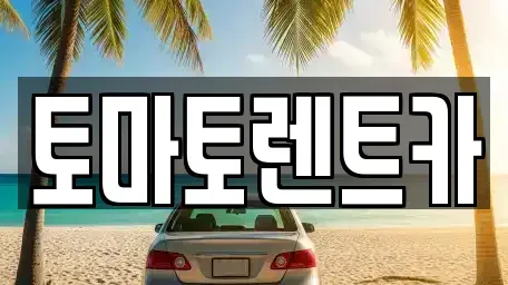경기도 성남시 분당구 판교동 렌트카 전문 토마토렌트카