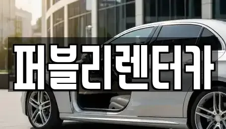 경기도 성남시 분당구 판교동 렌트카 전문 퍼블리렌터카