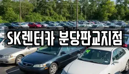 경기도 성남시 분당구 판교동 장기렌트카 전문 SK렌터카 분당판교지점