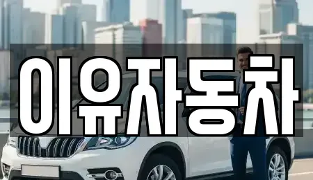경기도 성남시 분당구 판교동 중고차매매 전문 이유자동차