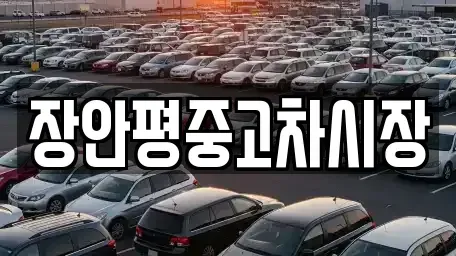 경기도 성남시 분당구 판교동 중고차매매 전문 장안평중고차시장