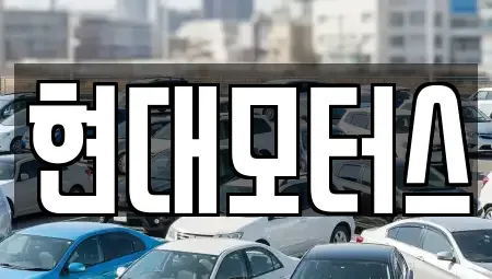 경기도 성남시 분당구 판교동 중고차매매 전문 현대모터스