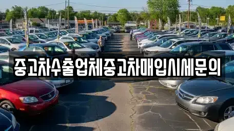 경기도 성남시 분당구 판교동 중고차매입 전문 중고차수출업체중고차매입시세문의
