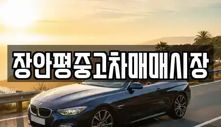 경기도 성남시 수정구 상적동 중고차 전문 장안평중고차매매시장