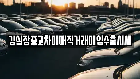 경기도 성남시 수정구 상적동 중고차매입 전문 김실장중고차매매직거래매입수출시세