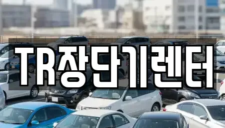 경기도 성남시 수정구 수진동 단기렌트카 전문 TR장단기렌터