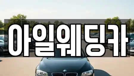 경기도 성남시 수정구 수진동 단기렌트카 전문 아일웨딩카