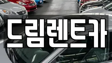 경기도 성남시 수정구 수진동 렌트카 전문 드림렌트카