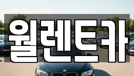 경기도 성남시 수정구 수진동 렌트카 전문 월렌트카