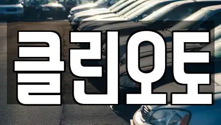 경기도 성남시 수정구 수진동 중고차 전문 클린오토