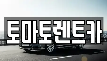 경기도 성남시 수정구 양지동 렌트카 전문 토마토렌트카