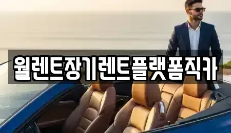 경기도 성남시 수정구 양지동 장기렌트카 전문 월렌트장기렌트플랫폼직카