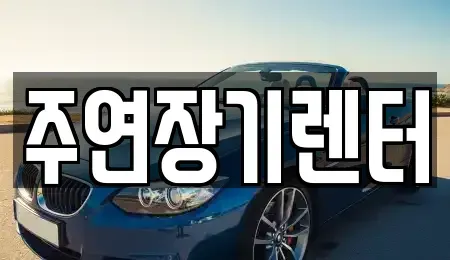 경기도 성남시 수정구 양지동 장기렌트카 전문 주연장기렌터