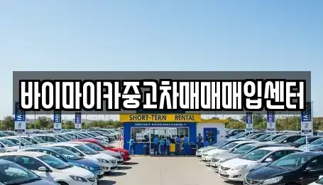 경기도 성남시 수정구 양지동 중고차 전문 바이마이카중고차매매매입센터