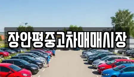 경기도 성남시 수정구 양지동 중고차 전문 장안평중고차매매시장