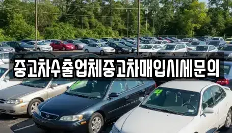 경기도 성남시 수정구 양지동 중고차매입 전문 중고차수출업체중고차매입시세문의