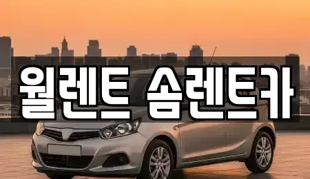 경기도 수원시 권선구 렌트카 전문 월렌트 솜렌트카