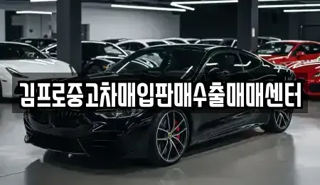경기도 수원시 권선구 중고차매입 전문 김프로중고차매입판매수출매매센터