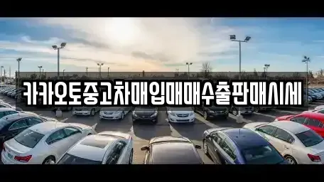 경기도 수원시 권선구 중고차매입 전문 카카오토중고차매입매매수출판매시세