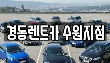 경기도 수원시 장안구 단기렌트카,중고차매입,중고차매매,중고차,렌트카,장기렌트카