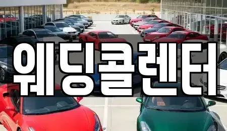 경기도 수원시 장안구 단기렌트카 전문 웨딩콜렌터