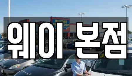 경기도 수원시 장안구 단기렌트카 전문 웨이 본점