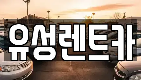경기도 수원시 장안구 렌트카 전문 유성렌트카