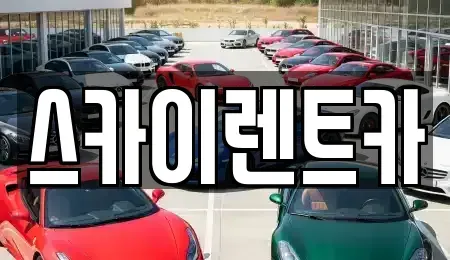 경기도 수원시 장안구 장기렌트카 전문 스카이렌트카