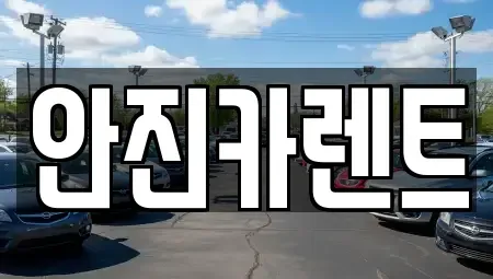 경기도 수원시 장안구 장기렌트카 전문 안진카렌트