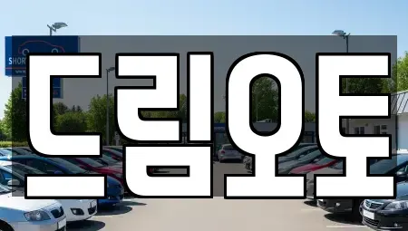 경기도 수원시 장안구 중고차매매 전문 드림오토