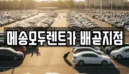 경기도 시흥시 배곧동 렌트카 전문 메송모두렌트카 배곧지점