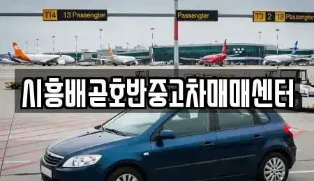 경기도 시흥시 배곧동 중고차 전문 시흥배곧호반중고차매매센터