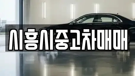 경기도 시흥시 배곧동 중고차 전문 시흥시중고차매매