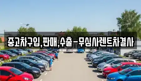 경기도 시흥시 배곧동 중고차 전문 중고차구입,판매,수출-무심사렌트차결사