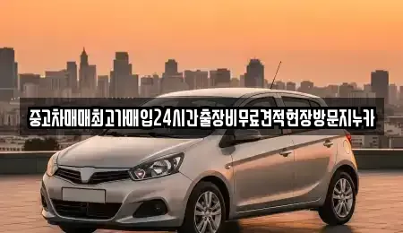 경기도 시흥시 배곧동 중고차매입 전문 중고차매매최고가매입24시간출장비무료견적현장방문지누카