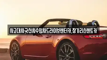 경기도 시흥시 월곶동 장기렌트카 전문 사고대차국산차수입차드라이브렌터카,장기리스렌트카