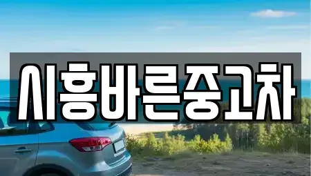 경기도 시흥시 월곶동 중고차매매,단기렌트카,중고차매입,장기렌트카,중고차,렌트카