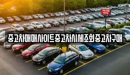 경기도 시흥시 월곶동 중고차매매 전문 중고차매매사이트중고차시세조회중고차구매