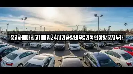경기도 시흥시 죽율동 중고차매매 전문 중고차매매최고가매입24시간출장비무료견적현장방문지누카