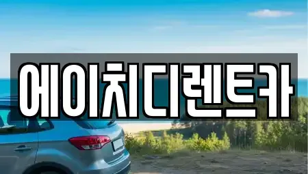 경기도 안산시 단원구 풍도동 렌트카 전문 에이치디렌트카