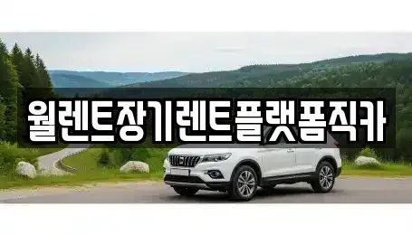 경기도 안산시 단원구 풍도동 장기렌트카 전문 월렌트장기렌트플랫폼직카