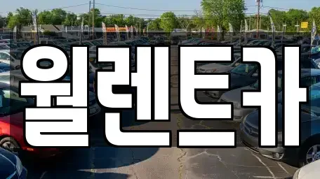 경기도 안성시 대천동 렌트카 전문 월렌트카