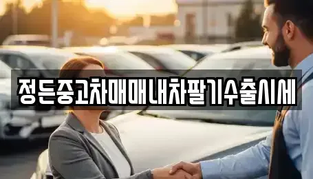 경기도 안성시 대천동 중고차매매 전문 정든중고차매매내차팔기수출시세