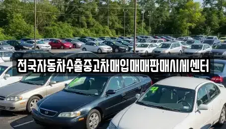 경기도 안성시 대천동 단기렌트카,중고차매입,중고차매매,중고차,렌트카,장기렌트카