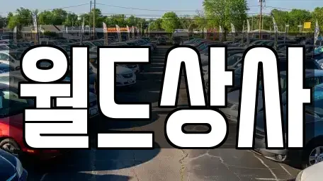 경기도 안성시 발화동 중고차 전문 월드상사