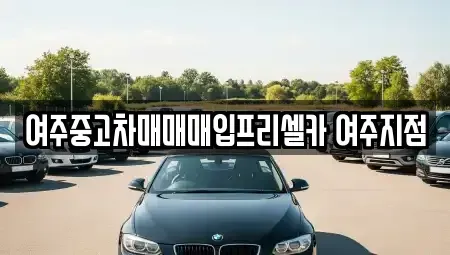 경기도 여주시 신진동 중고차 전문 여주중고차매매매입프리셀카 여주지점